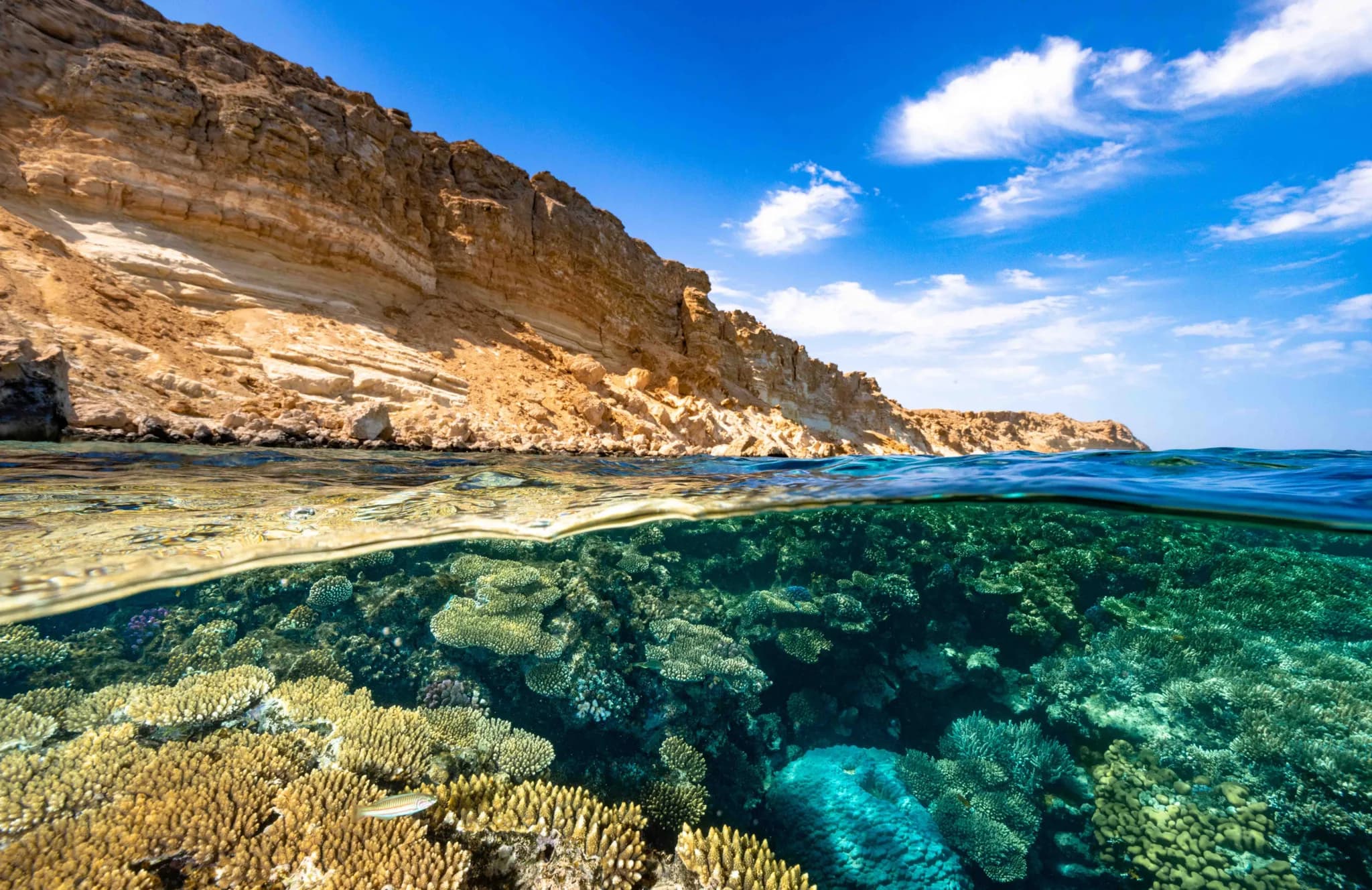 Putovanje kroz Crveno more: Hurgada, Marsa Alam i Šarm el Šeik